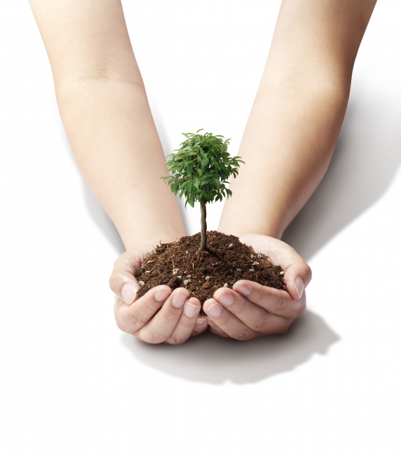 スタンドアローン